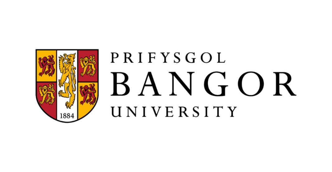 Logo 3